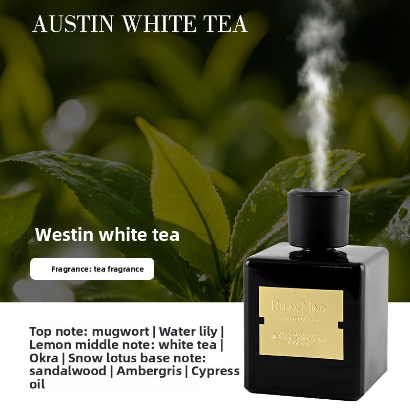 Home Fragrance Diffuser with 10 Scents