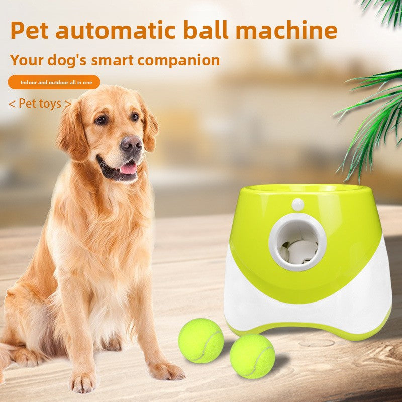 Automatic Pet Ball Launcher