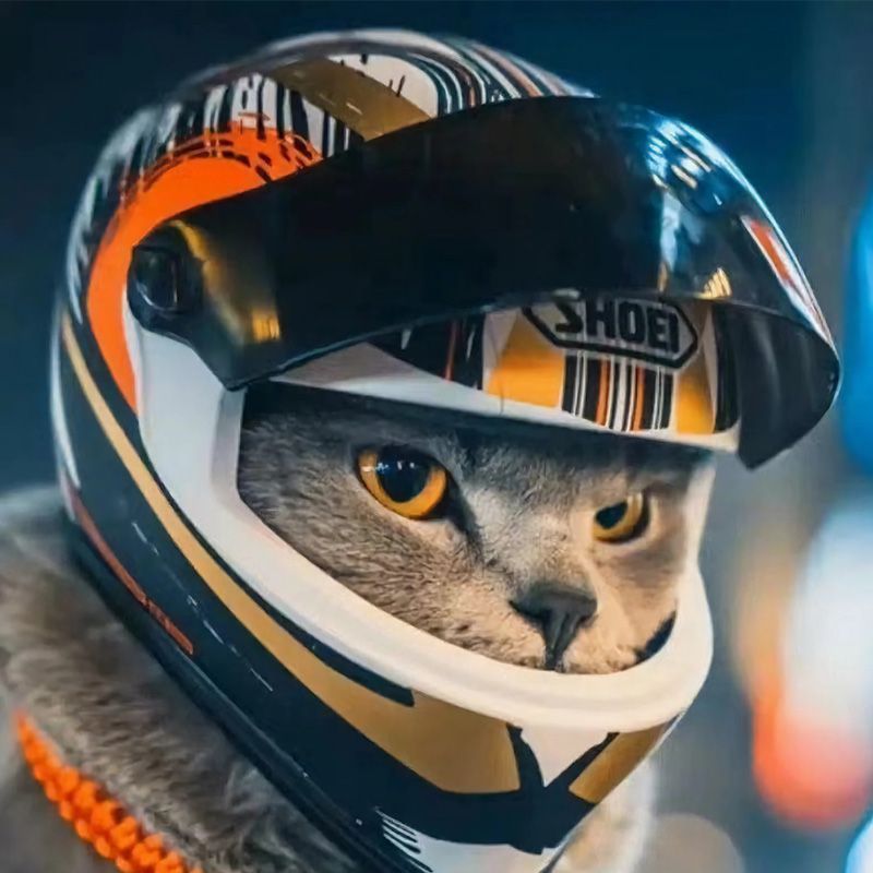 Mini Cat Helmet