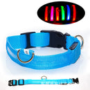 USB Rechargeable LED Dog Collar with Adjustable Sizes
