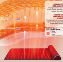 Leather Red Light Physiotherapy Pad with Neck Support