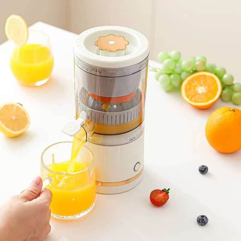 household juicer