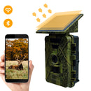 New Solar Infrared Camera