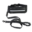 Pet belt leash