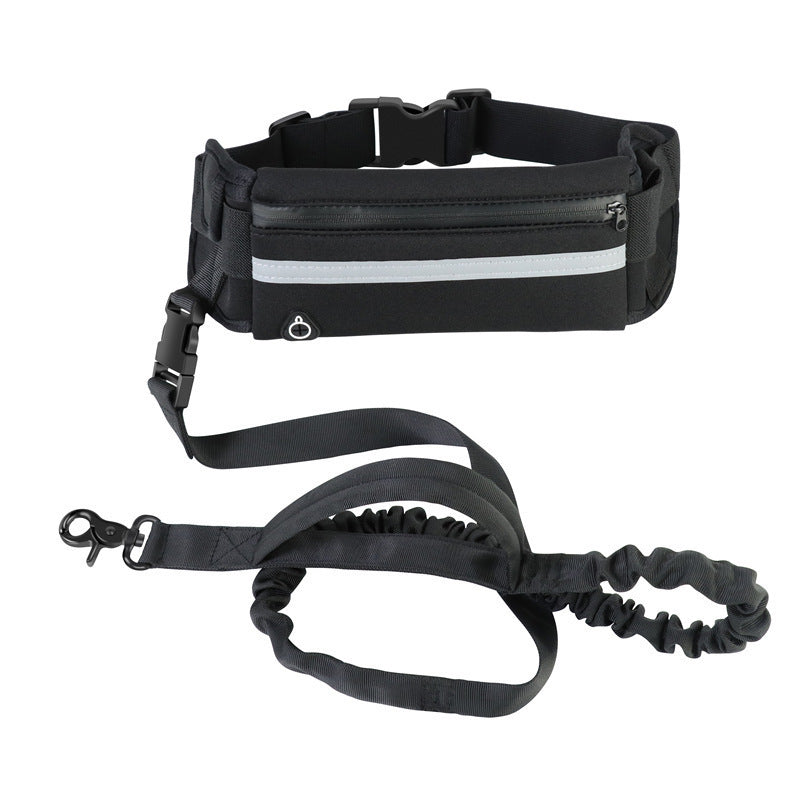 Pet belt leash