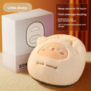 Foot warmer charging hot water bag