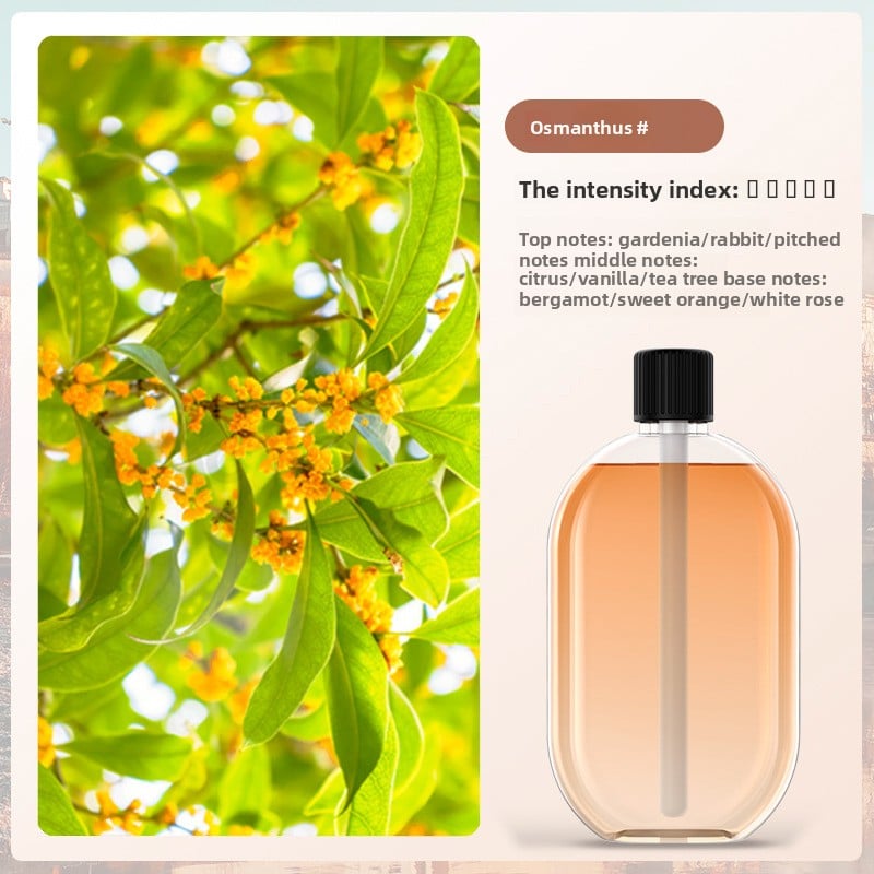 Automatic fragrance sprayer