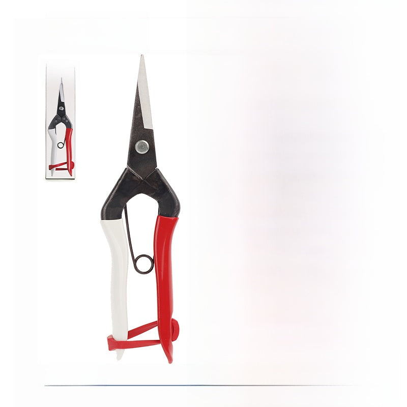pruning shears