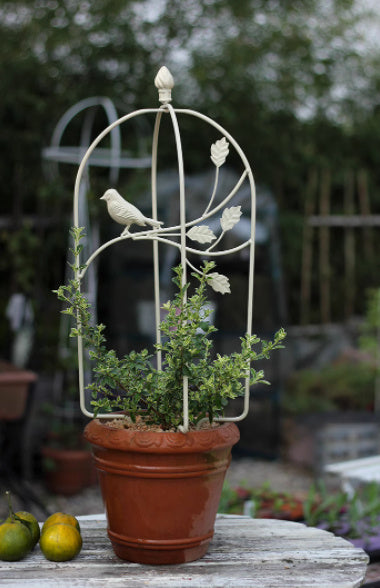 Iron Folding Birdcage Climbing Vine Frame Balcony Decorative Flower Rack