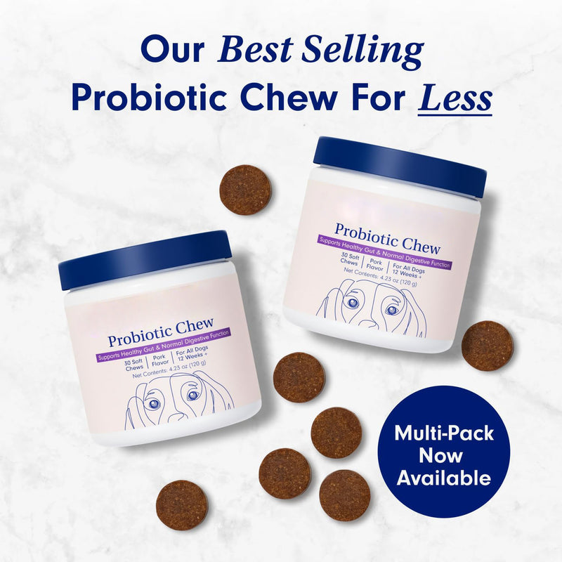 Pet Probiotic Supplements for Digestive Health