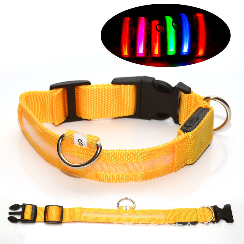 USB Rechargeable LED Dog Collar with Adjustable Sizes