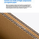 Logistics Packaging Carton Express To-go Box