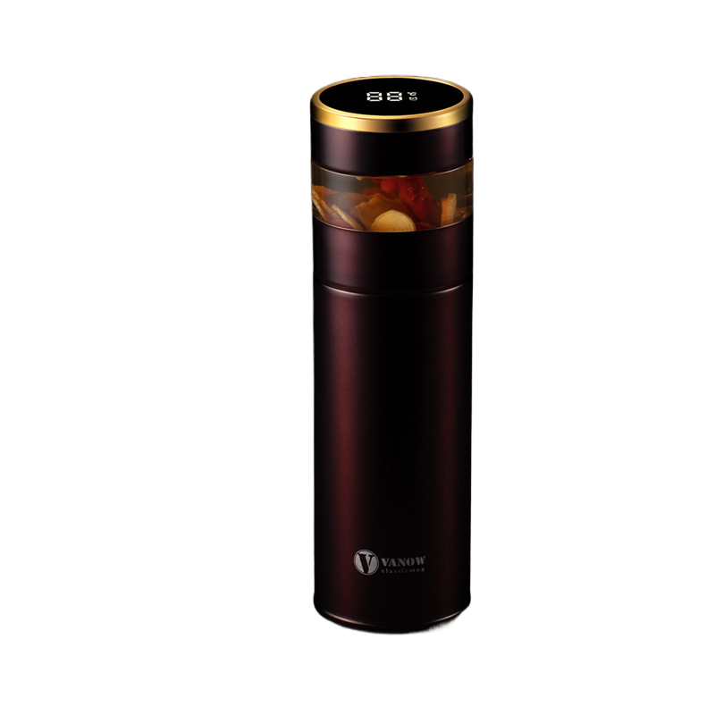 Smart Temperature Display Vacuum Insulated Cup with Tea Strainer