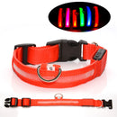 USB Rechargeable LED Dog Collar with Adjustable Sizes