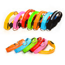 USB Rechargeable LED Dog Collar with Adjustable Sizes