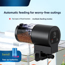 Fish tank feeder with intelligent timing function