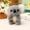 Simulation Australian Koala Plush Toy