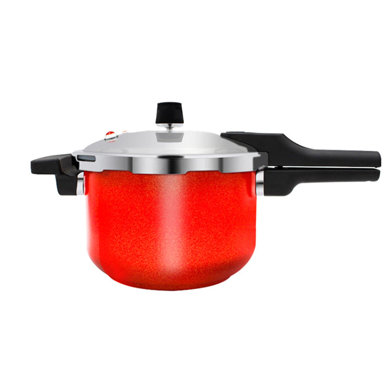 Stainless steel pressure cooker