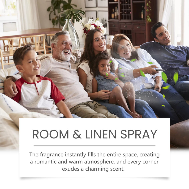 Portable and fragrant household hotel deodorizing air freshener