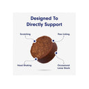 Pet Probiotic Supplements for Digestive Health