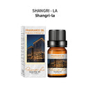 Home Humidifier Aromatherapy Diffuser Stone Essential Oil