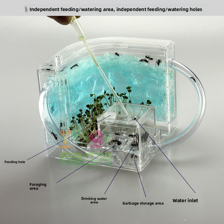 Mini Ant World Interactive Habitat Toy