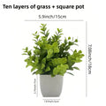 Simulation of small potted plants