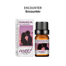 Home Humidifier Aromatherapy Diffuser Stone Essential Oil