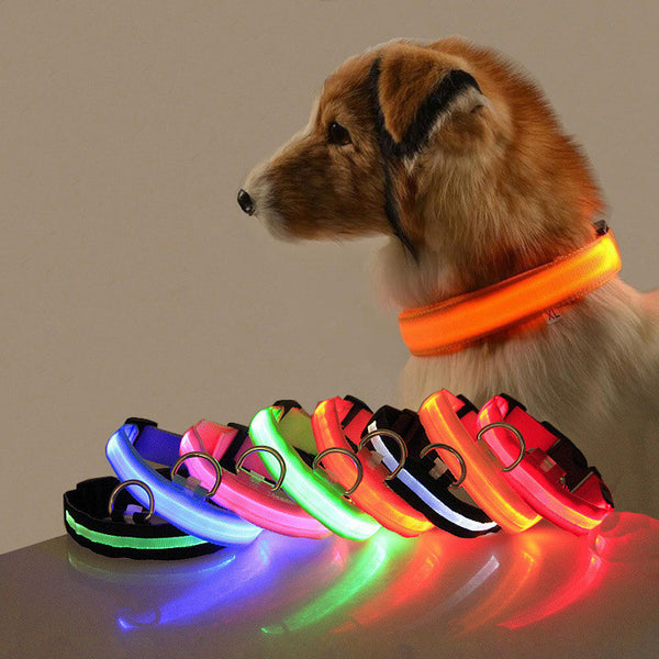 USB Rechargeable LED Dog Collar with Adjustable Sizes