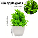 Simulation of small potted plants