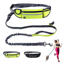Pet belt leash