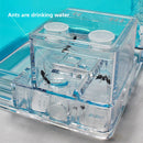 Mini Ant World Interactive Habitat Toy