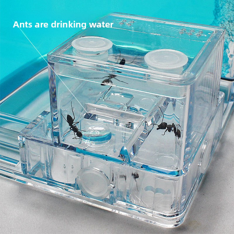 Mini Ant World Interactive Habitat Toy