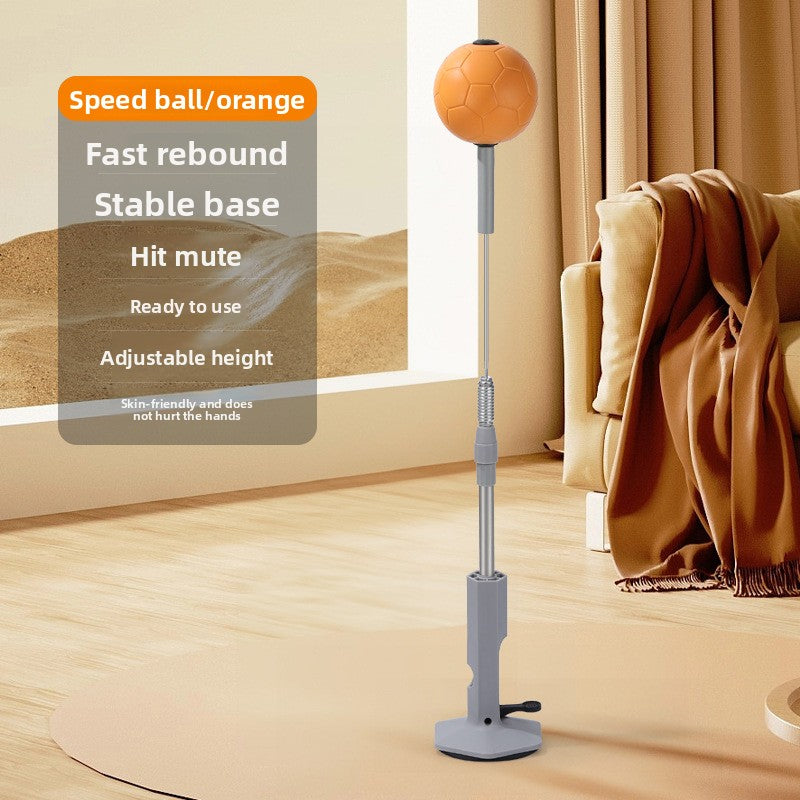 boxing training ball