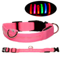 USB Rechargeable LED Dog Collar with Adjustable Sizes