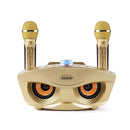 KTV Set Bluetooth Speaker All-in-One