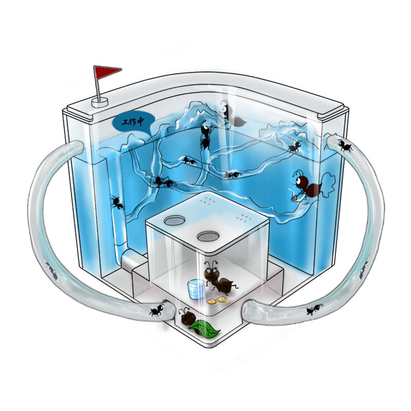 Mini Ant World Interactive Habitat Toy
