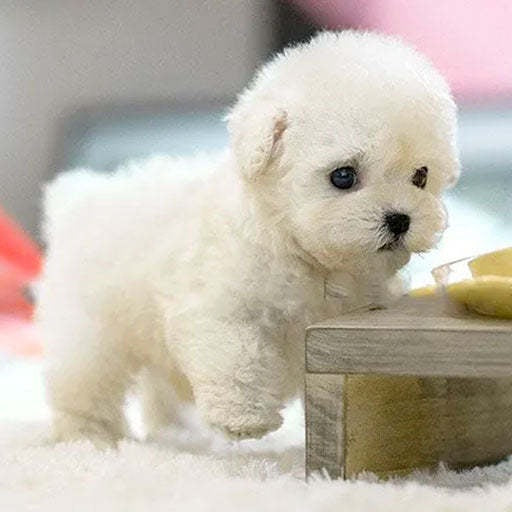 Realistic Robot Puppy Plush Toy