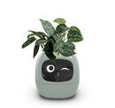 Smart Planter Endless Fun Over 49 Rich Expressions 7 Smart Sensors And AI Chips Make Raising Plants Easy And Fun