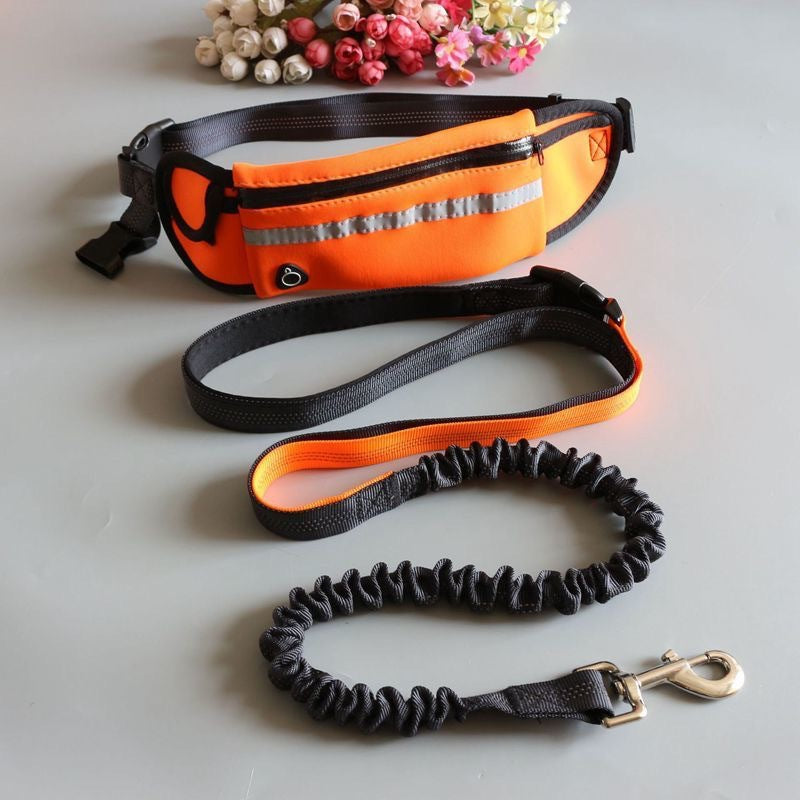 Pet belt leash