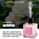Home Fragrance Diffuser with 10 Scents