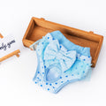 Female Canine Menstrual Panties Menstrual Safety Pants Princess Bowknot